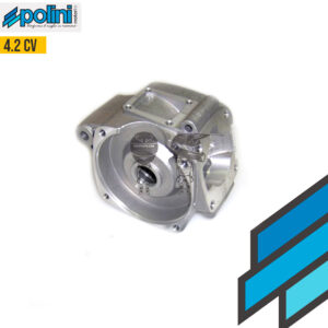 POLINI Conjunto Carter Motor 4 2Hp 910RS