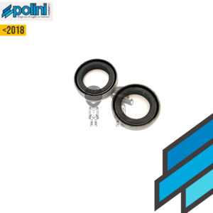 POLINI Conjunto Retenes 22x15x5 Motor 4 2Hp   2018