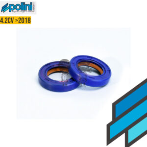 POLINI Retenes PTFE/FKM 24x15x5 Motor 4 2Hp  2018