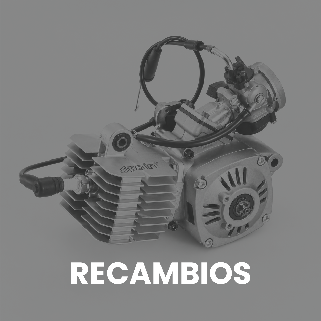 EJEMPLO PORTADA RECAMBIOS CON TEXTO